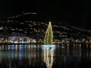 Voyage Norvège - Sapin de Noël